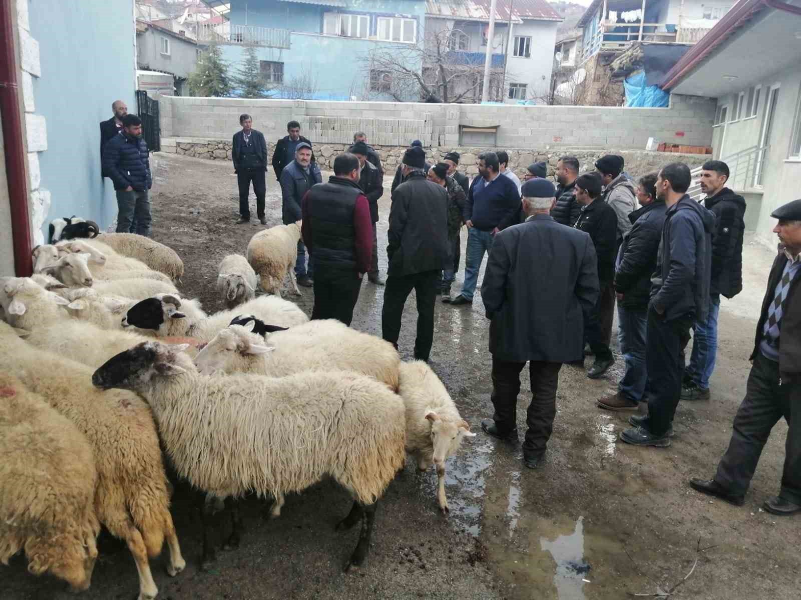 AFYONKARAHİSAR’IN ŞUHUT İLÇESİNDE KÖY SAKİNLERİ BAĞIŞ OLARAK TOPLADIKLARI 20 KOYUNU