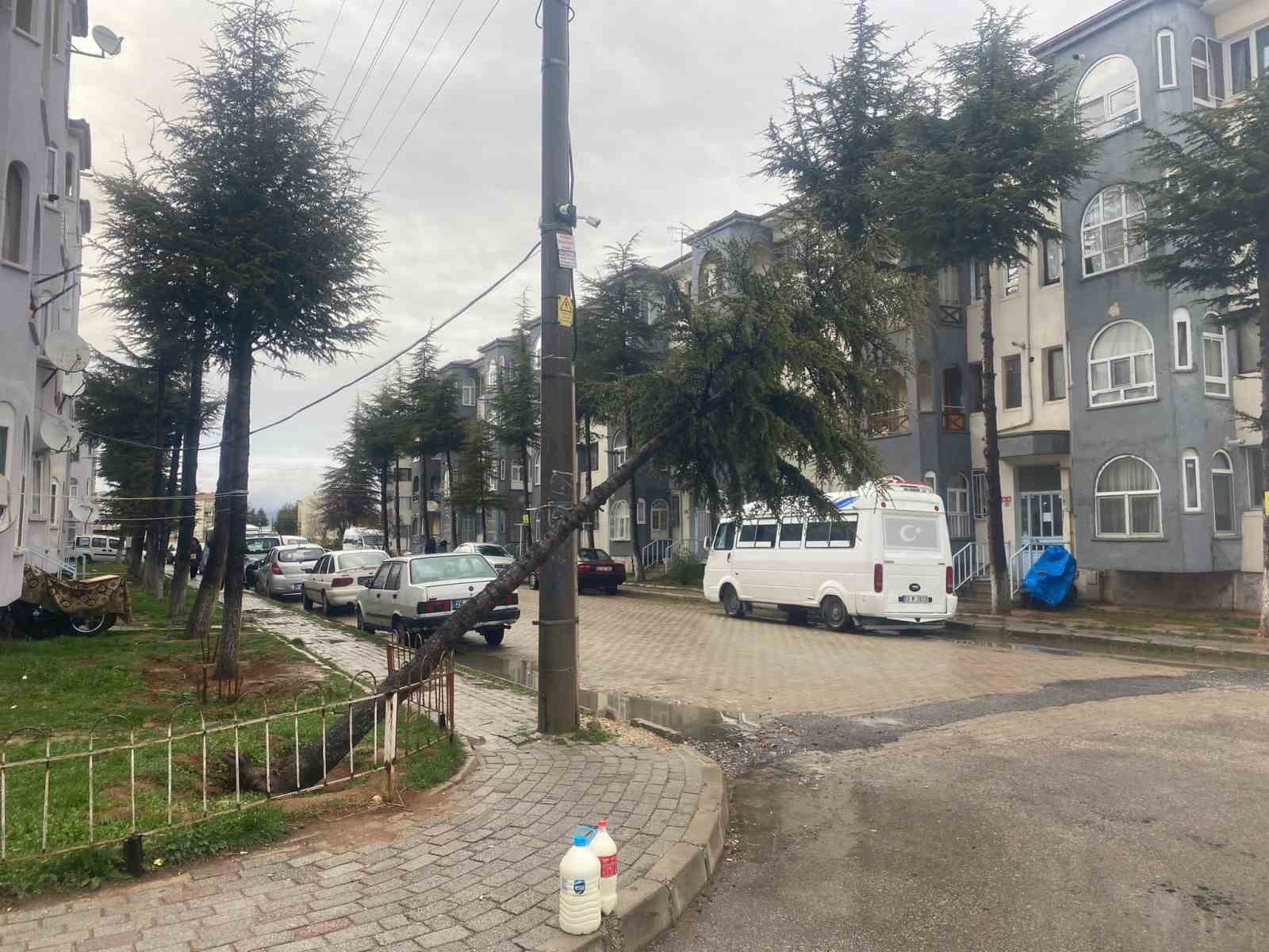 AFYONKARAHİSAR’DA YAKLAŞIK 10 YAŞINDAKİ ÇAM AĞACI RÜZGARIN ŞİDDETİNE DAYANAMAYARAK DEVRİLDİ.