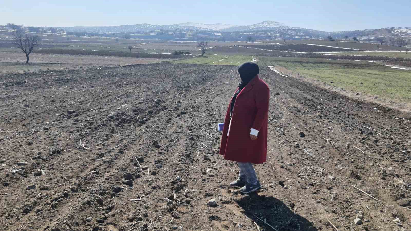 AFYONKARAHİSAR’IN İSCEHİSAR İLÇESİNDE YERLİ VE MİLLİ TOHUM OLARAK EKİLEN ARPA