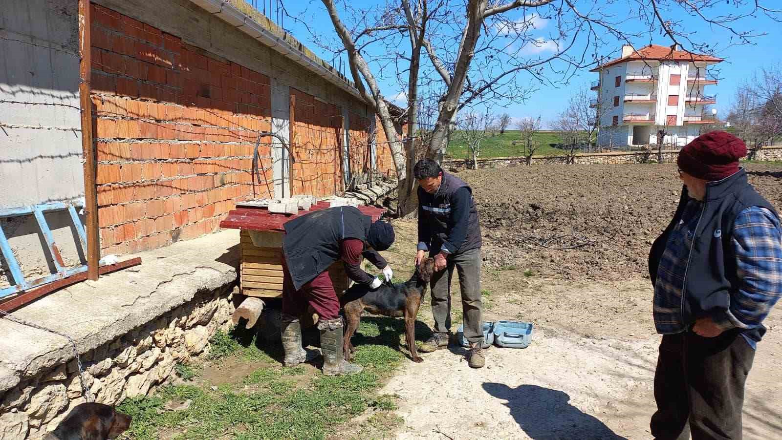 AFYONKARAHİSAR’IN HOCALAR İLÇESİNDE TARIM VE ORMAN MÜDÜRLÜĞÜ EKİPLERİ TARAFINDAN KÜÇÜKBAŞ