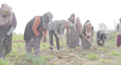   Milliyetçi Hareket Partisi MYK Üyesi ve Afyonkarahisar Milletvekili Mehmet