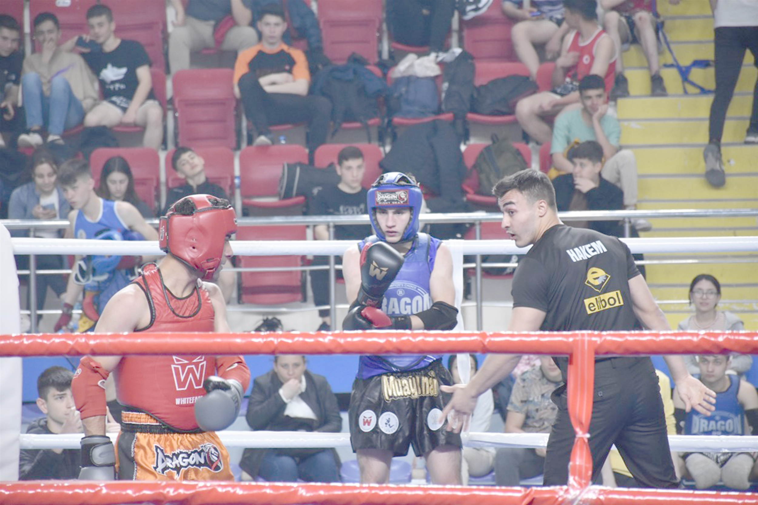 19 Mayıs Gençlik Haftası kutlamaları kapsamında Afyonkarahisar’da düzenlenen Muaythai Gençlik