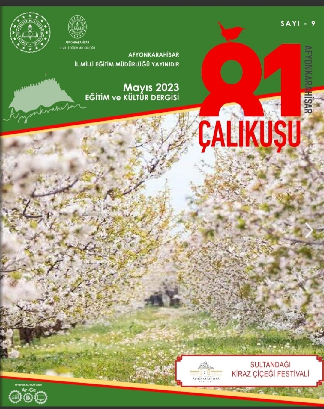 AFYONKARAHİSAR İL MİLLİ EĞİTİM MÜDÜRLÜĞÜ TARAFINDAN HAZIRLANAN “81 ÇALIKUŞU AFYONKARAHİSAR”
