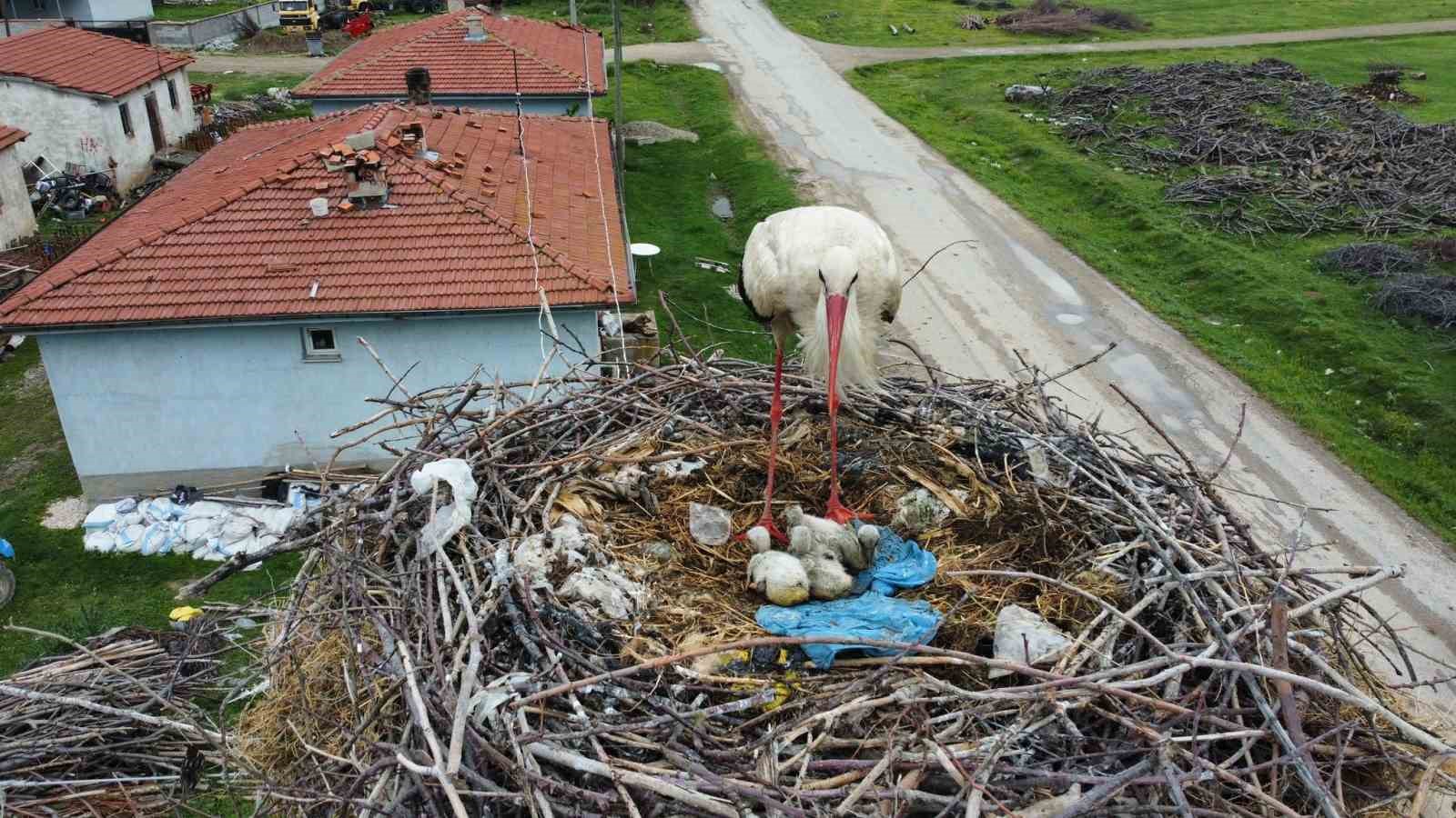 AFYONKARAHİSAR’DA BİR ELEKTRİK DİREĞİNE KURDUĞU YUVA YAKLAŞIK 5 YIL ÖNCE