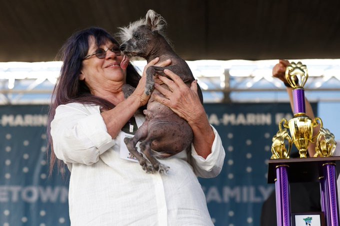 Kaliforniya’da 50 yıldır düzenlenen Dünyanın En Çirkin Köpeği yarışmasını, Tüysüz