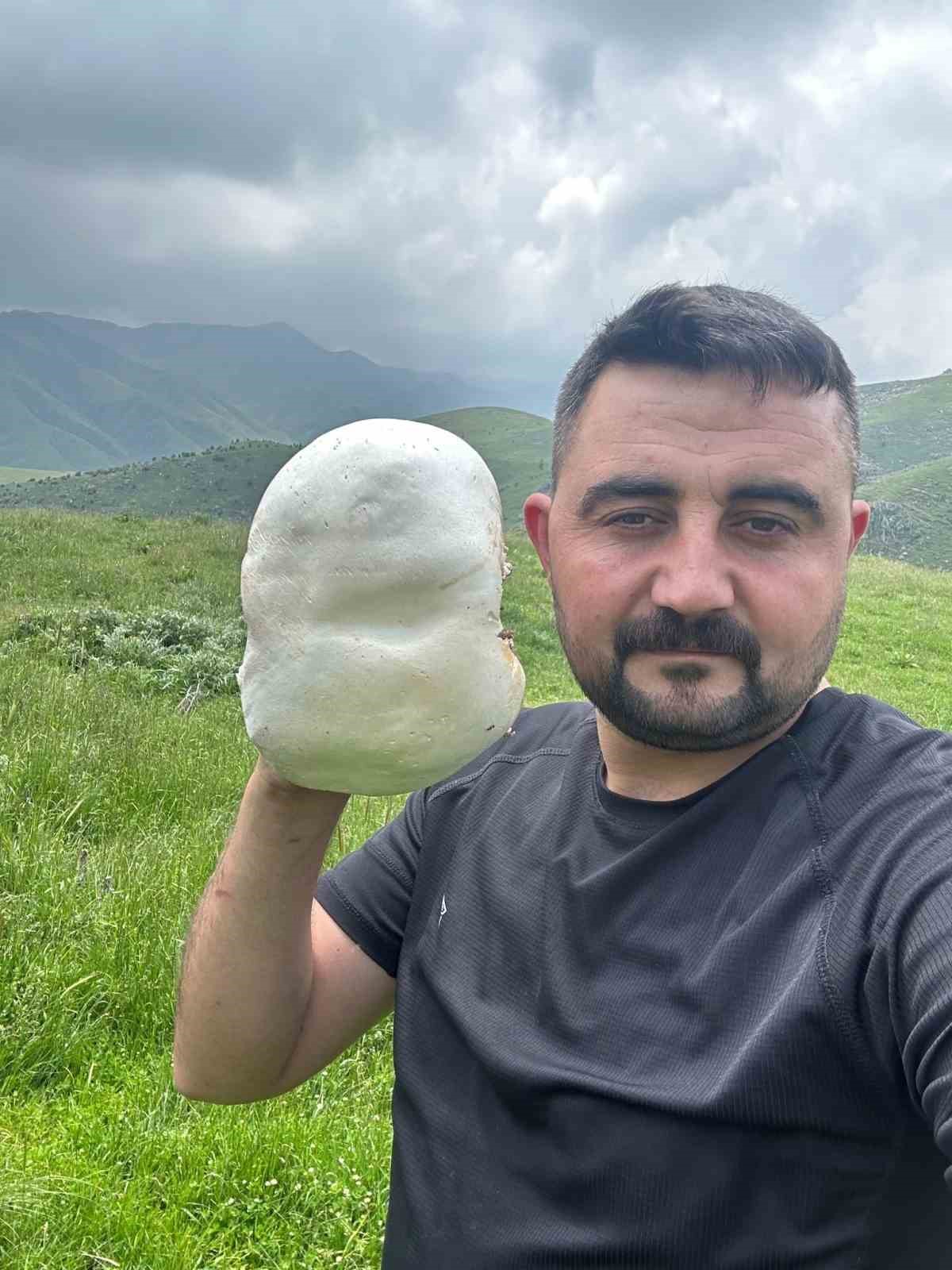 AFYONKARAHİSAR’IN EMİRDAĞ İLÇESİNDEKİ YAYLALARDA ÇIKAN DEV MANTARLAR GÖRENLERİ ŞAŞIRTTI.