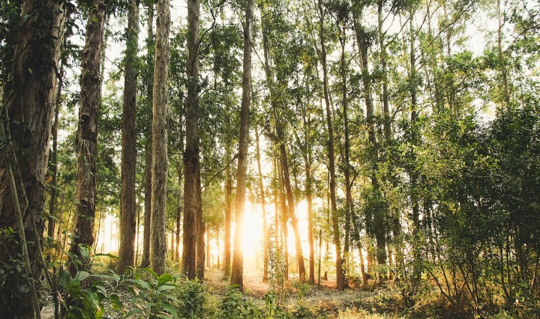 Ünlü dizi oyuncusu, sosyal medyada yarattığı etkileyici paylaşımıyla büyük bir