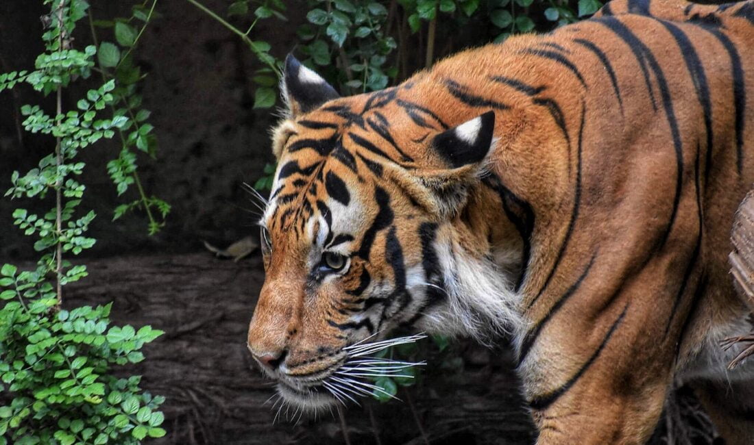 Ünlü dizi oyuncusu, sosyal medyada yarattığı etkileyici paylaşımıyla büyük bir