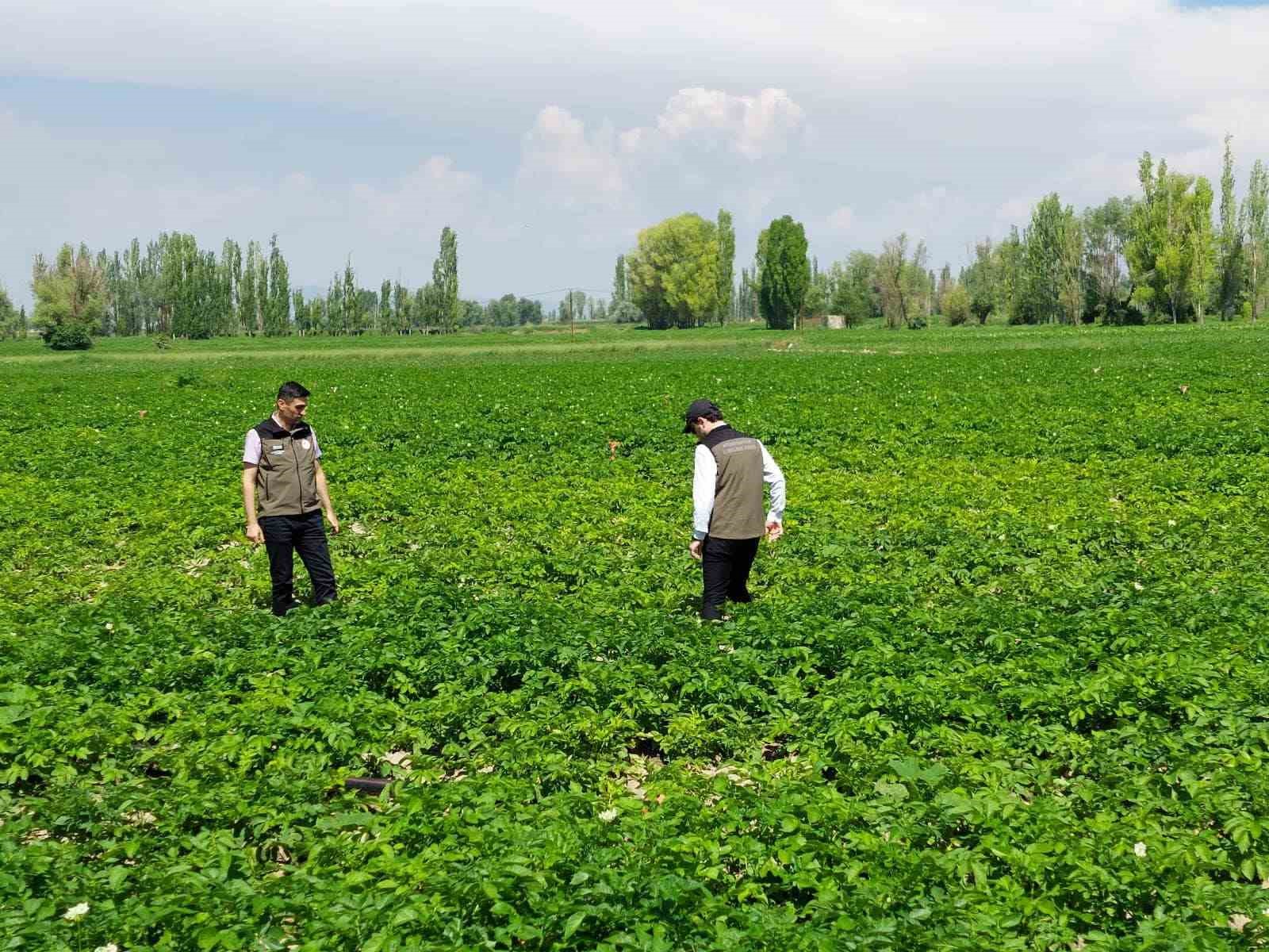 AFYONKARAHİSAR İL TARIM VE ORMAN MÜDÜRLÜĞÜNDEN YAPILAN AÇIKLAMADA PATATES ÜRETİCİLERİ