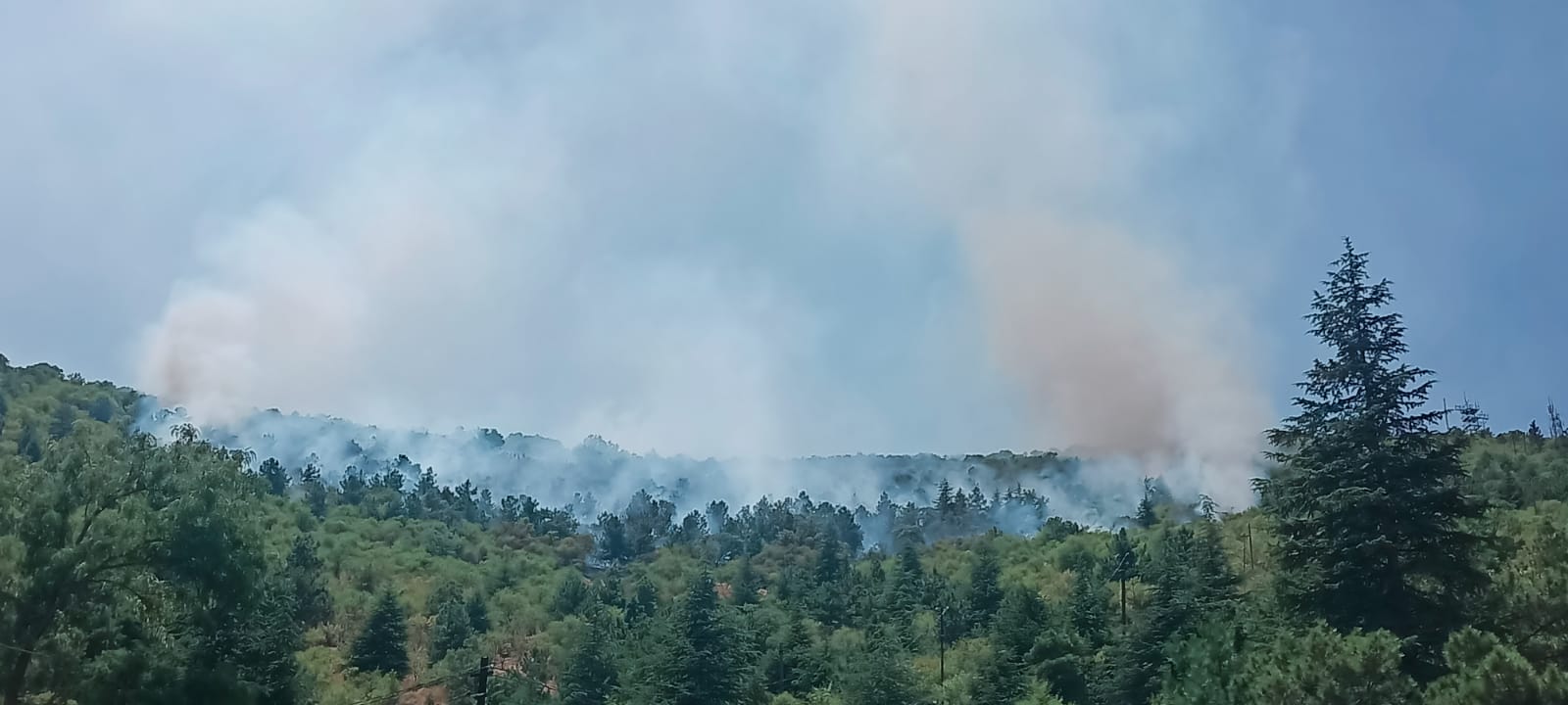 Afyonkarahisar‘da çam ve badem ağaçlarının bulunduğu alanda yangın çıktı. Kent