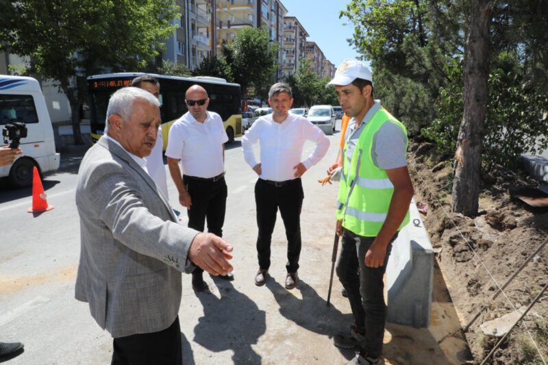 Afyonkarahisar Belediyesi kavşak ve orta refüjlerde ağaçlandırma, çiçek dikimi, çim