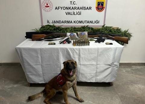 AFYONKARAHİSAR’DA EVİNİN BAHÇESİNE KENEVİR EKEN ŞAHISLAR YAKALANDI