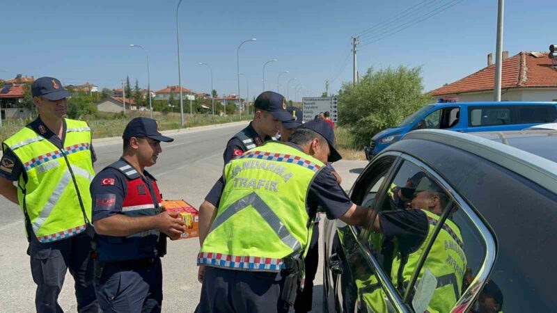 AFYONKARAHİSAR’IN BOLVADİN İLÇESİNDE JANDARMA EKİPLERİ BAYRAM TATİLİ BOYUNCA TRAFİK DENETİMİNİ