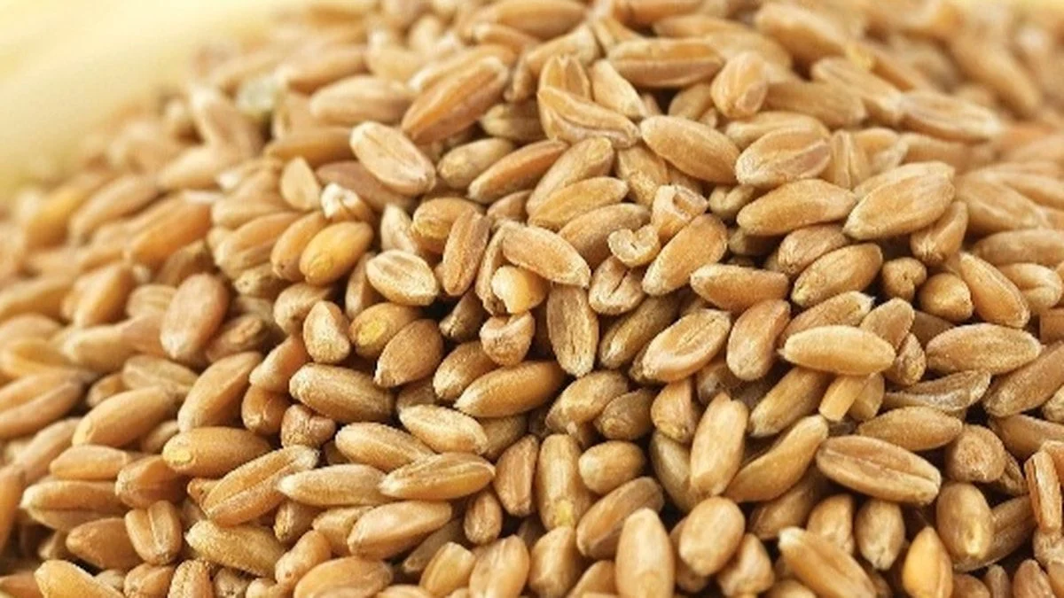   Türkiye Ziraat Odaları Birliği (TZOB) Genel Başkanı Şemsi Bayraktar,