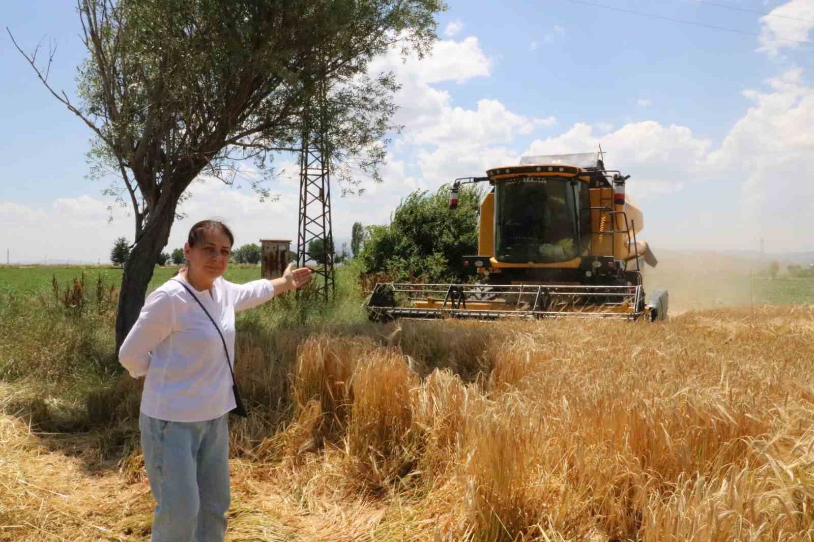 AFYONKARAHİSAR’IN SANDIKLI VE KIZILÖREN İLÇELERİNDE HUBUBAT HASADI ARPA HASADI İLE