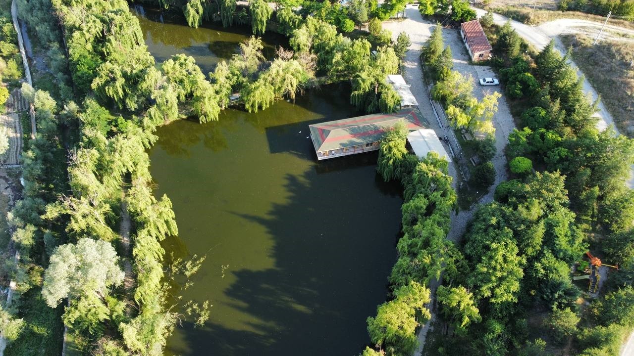 İÇERİSİNDE 30 BİNE YAKIN SAZAN BALIĞININ BULUNDUĞU AFYONKARAHİSAR’IN ÇAY İLÇESİNDEKİ