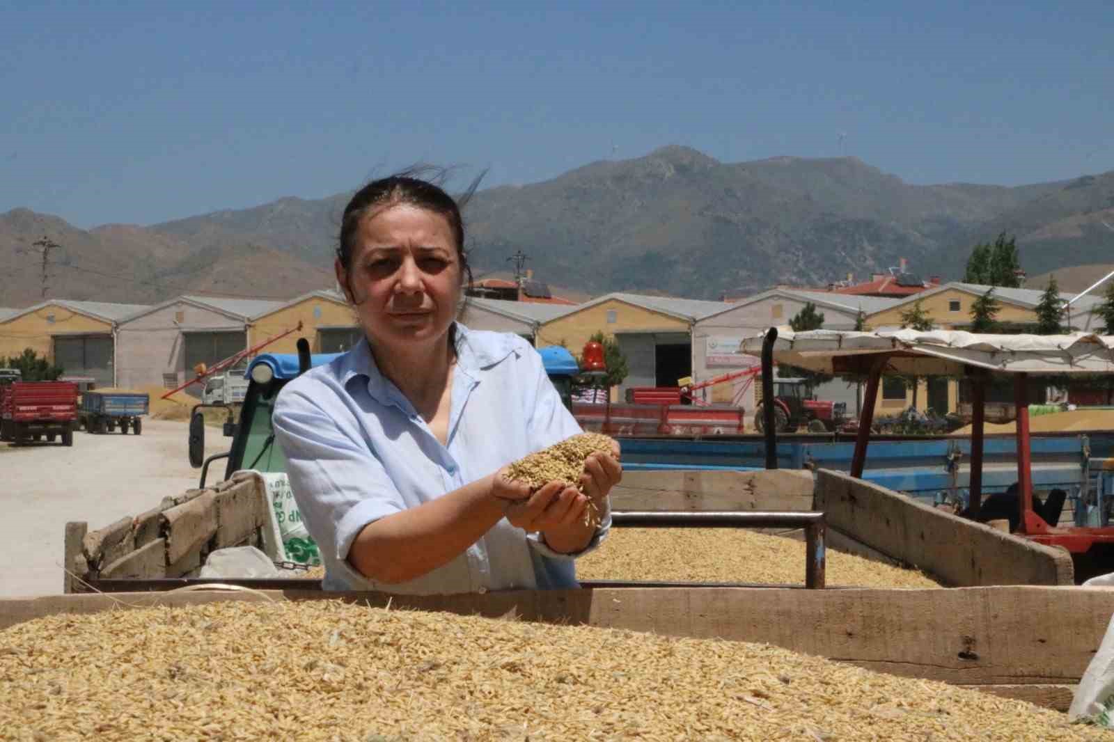 HUBUBAT HASADININ BAŞLADIĞI AFYONKARAHİSAR’IN SANDIKLI İLÇESİNDE ÜRETİCİLER KİLOGRAMI 7 TL’DEN
