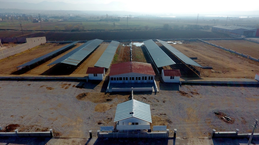 Afyonkarahisar’ın Sandıklı ilçesindeki canlı hayvan pazarı şap hastalığı nedeniyle kapatıldı.