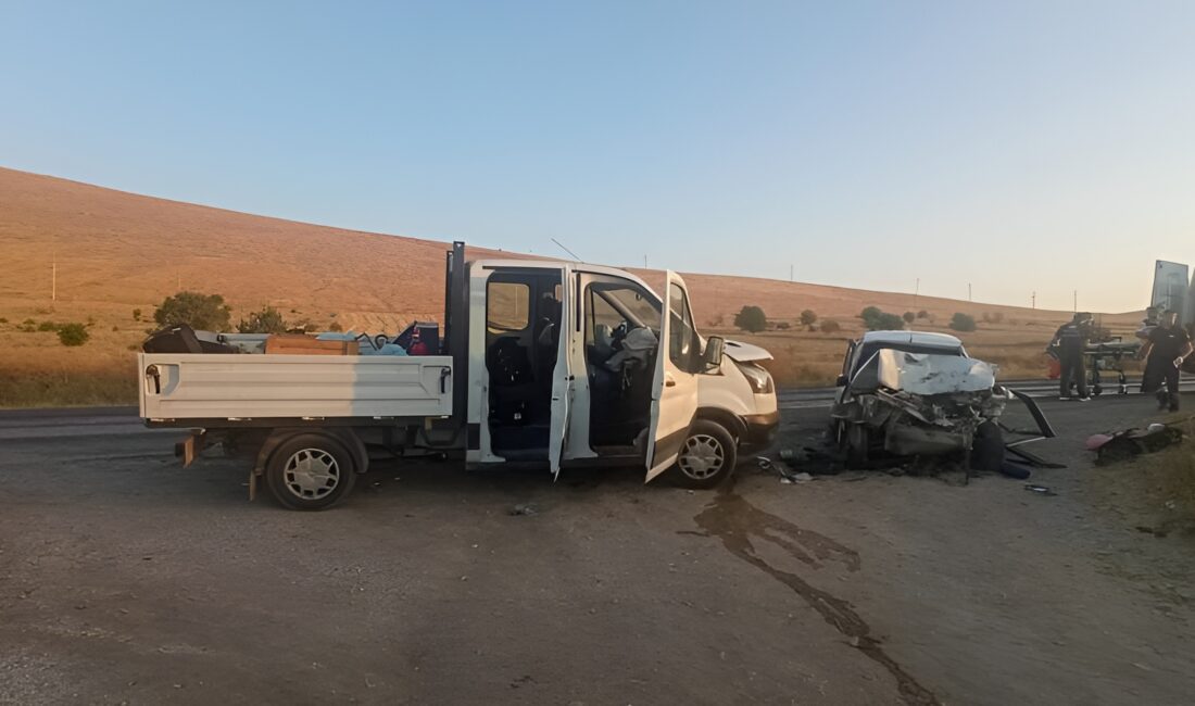 Afyonkarahisar’da, sürücü değiştirmek için yol kenarında duran kamyonete otomobilin çarpması