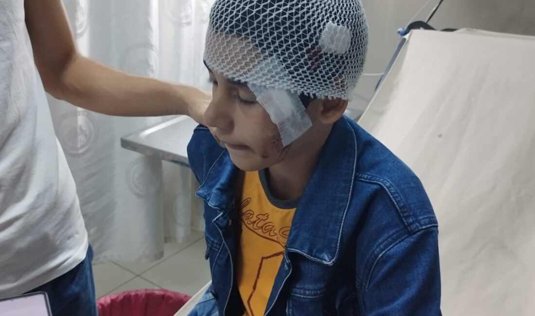 Afyonkarahisar’da 12 yaşındaki bir çocuk ailesi ile birlikte gittiği hobi