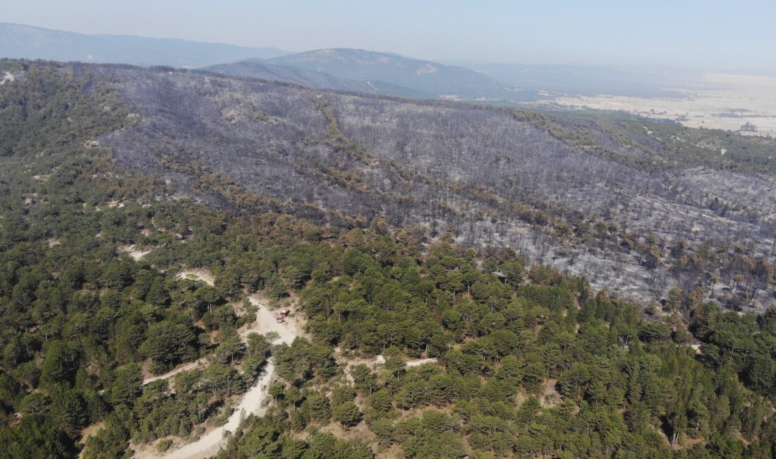 Eskişehir’in Seyitgazi ilçesinde 300 hektarlık alanda etkili olan orman yangını