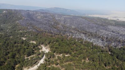 Eskişehir’in Seyitgazi ilçesinde 300 hektarlık alanda etkili olan orman yangını