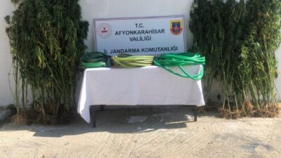 Afyonkarahisar’da jandarma ekipleri iki şahsı ektikleri keneviri sularken suçüstü yaptı.