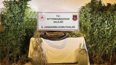 Afyonkarahisar’da esrar üretmek amacı ile kenevir eken 2 şahıs jandarmanın