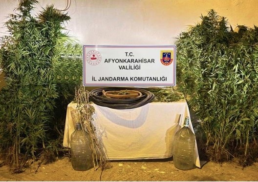 Afyonkarahisar’da esrar üretmek amacı ile kenevir eken 2 şahıs jandarmanın