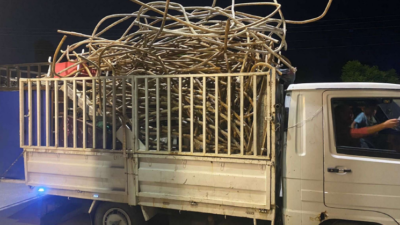 Afyonkarahisar’ın Çay ve Sinanpaşa ilçesinde hırsızlık yaptıkları belirlenen şahıslar İl