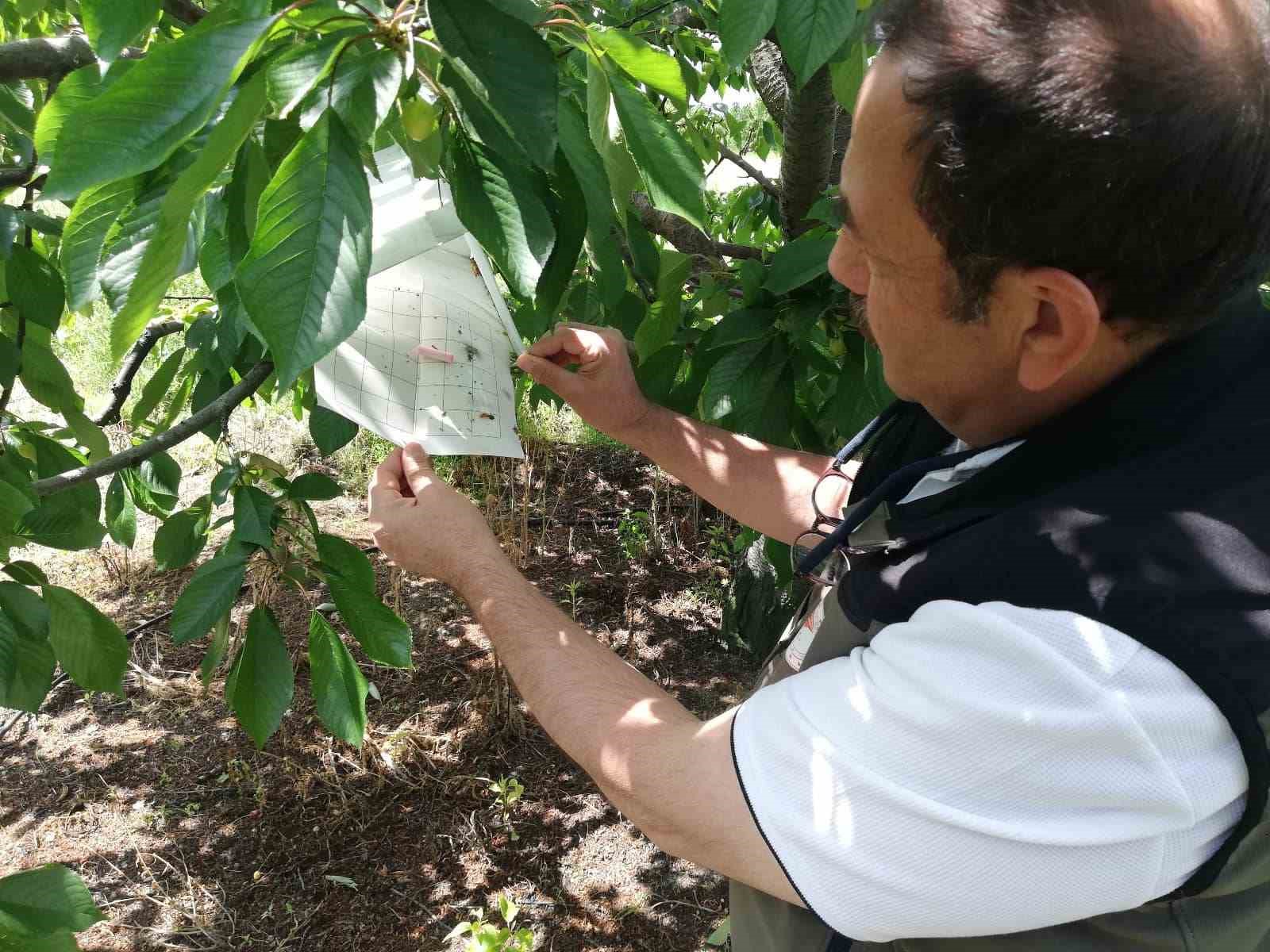 AFYONKARAHİSAR TARIM VE ORMAN İL MÜDÜRLÜĞÜ BİTKİSEL ÜRETİM VE BİTKİ