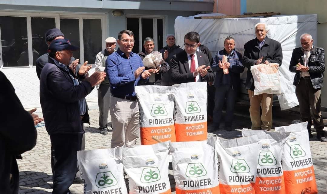 AFYONKARAHİSAR’IN HOCALAR İLÇESİNDE ÜRETİCİLERE YÜZDE 75 HİBELİ OLARAK DAĞITILAN AYÇİÇEKLER
