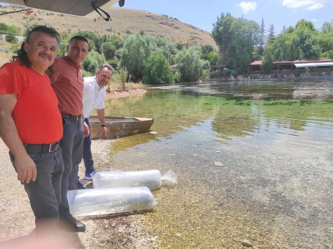 AFYONKARAHİSAR İL TARIM VE ORMAN MÜDÜRLÜĞÜ TARAFINDAN KENT GENELİNDEKİ 39
