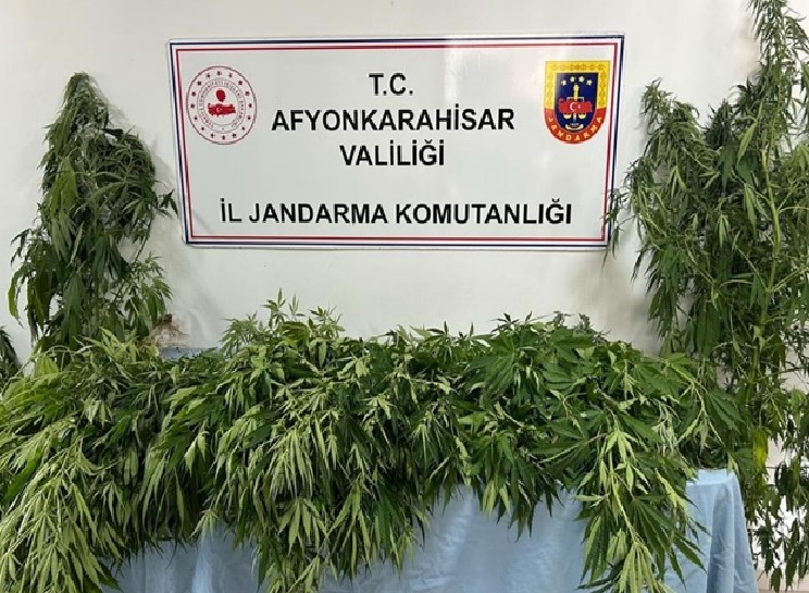 AFYONKARAHİSAR’DA BİR EVE BASKIN DÜZENLEYEN EKİPLER BOYLARI 10-150 SANTİMETRE ARASINDA