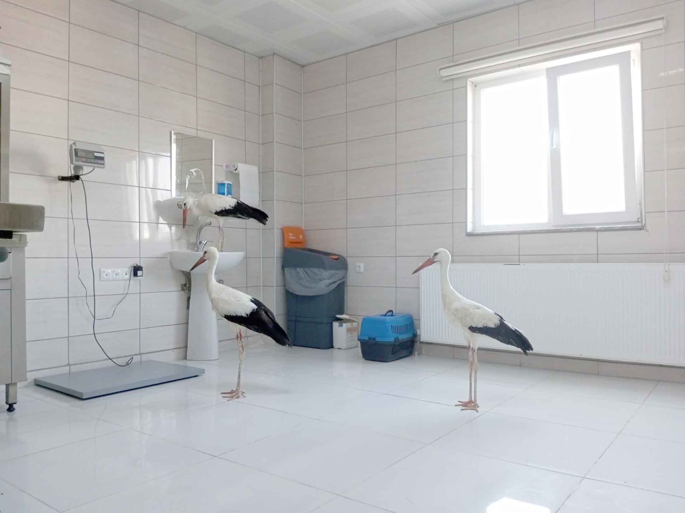 Afyonkarahisar’da ateşli silahlar ile vurulma ve elektrik çarpması sonucu yaralanan