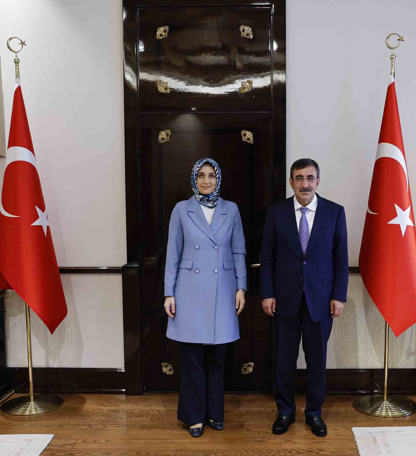 VALİ YİĞİTBAŞI, CUMHURBAŞKANI YARDIMCISI İLE GÖRÜŞTÜ