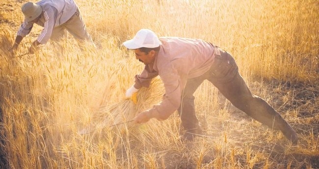 Afyonkarahisar İl Tarım ve Orman Müdürlüğünden yapılan açıklamada 2023 yılı