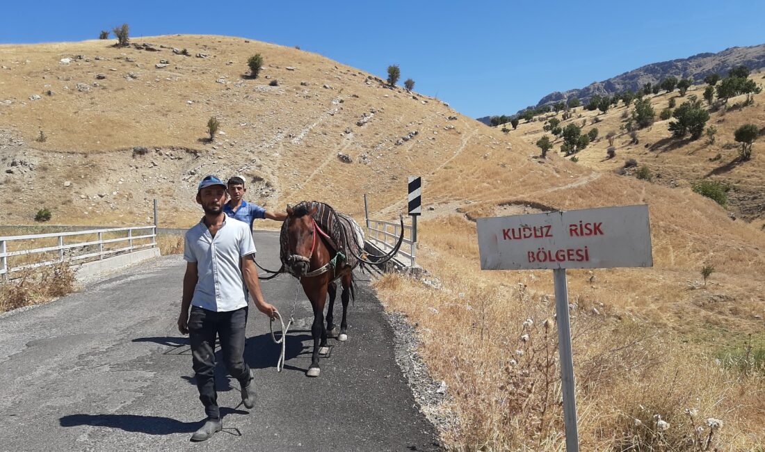 Adıyaman’ın Gerger ilçesine bağlı Çobanpınar köyünde sahibini ısıran at kuduz