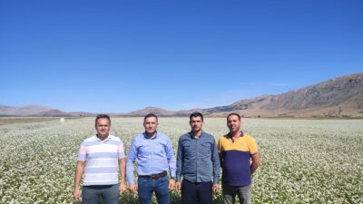 Afyonkarahisar’ın Dinar ilçesi Çölovası mevki Okçular köyünde ikinci ürün olarak