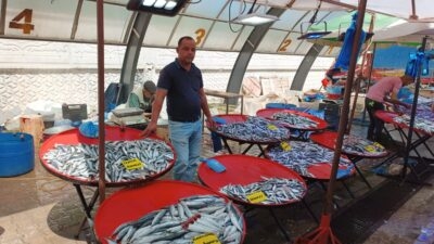 Afyonkarahisar’da balık sezonunun açılması ile birlikte tezgahlarda balık şöleni yaşandı.