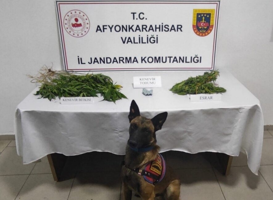 Afyonkarahisar İl Jandarma Komutanlığı ekipleri merkeze bağlı Anıtkaya Köyü’nde bir