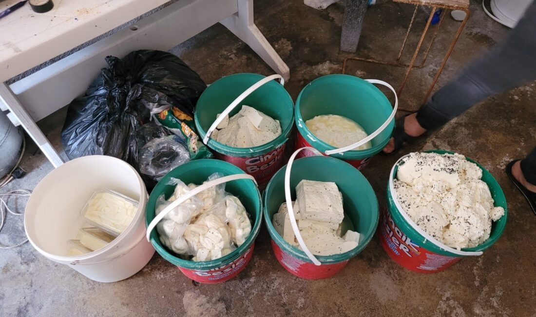 Bursa’da merdivenaltı peynir ve süt ürünleri imal eden işyerine baskın