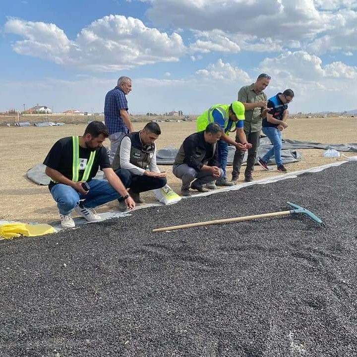 Afyonkarahisar’ın Emirdağ ilçesinde ayçiçeği hasadı başladı. Afyonkarahisar Tarım ve Orman