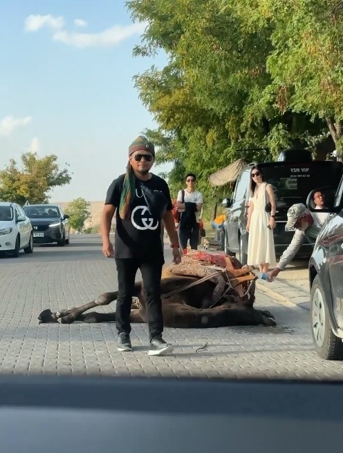 Türkiye’nin önemli turizm bölgelerinden olan Kapadokya’da, iş yüküne dayanamayan deve