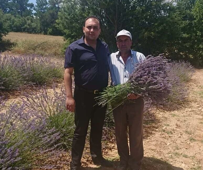 Afyonkarahisar’da lavanta üretiminde önemli bir yere sahip olan Dazkırı ilçesinde