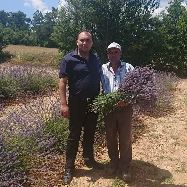 Afyonkarahisar’da lavanta üretiminde önemli bir yere sahip olan Dazkırı ilçesinde