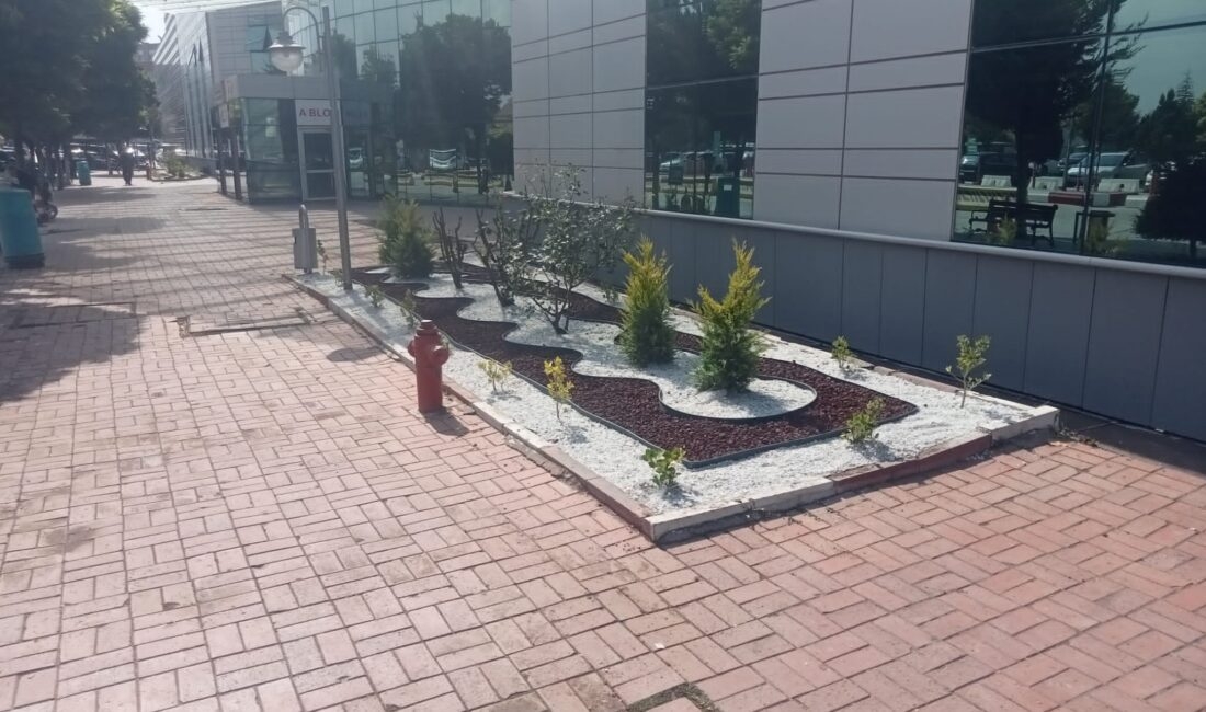 Afyonkarahisar Devlet Hastanesi gerçekleştirilen çevre düzenlemesi sonrası yeni çehresine kavuştu.