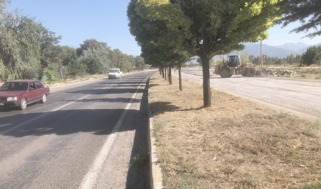 Milliyetçi Hareket Partisi Bolvadin İlçe Başkanı Mahmut Kızıltoprak, Bolvadin –