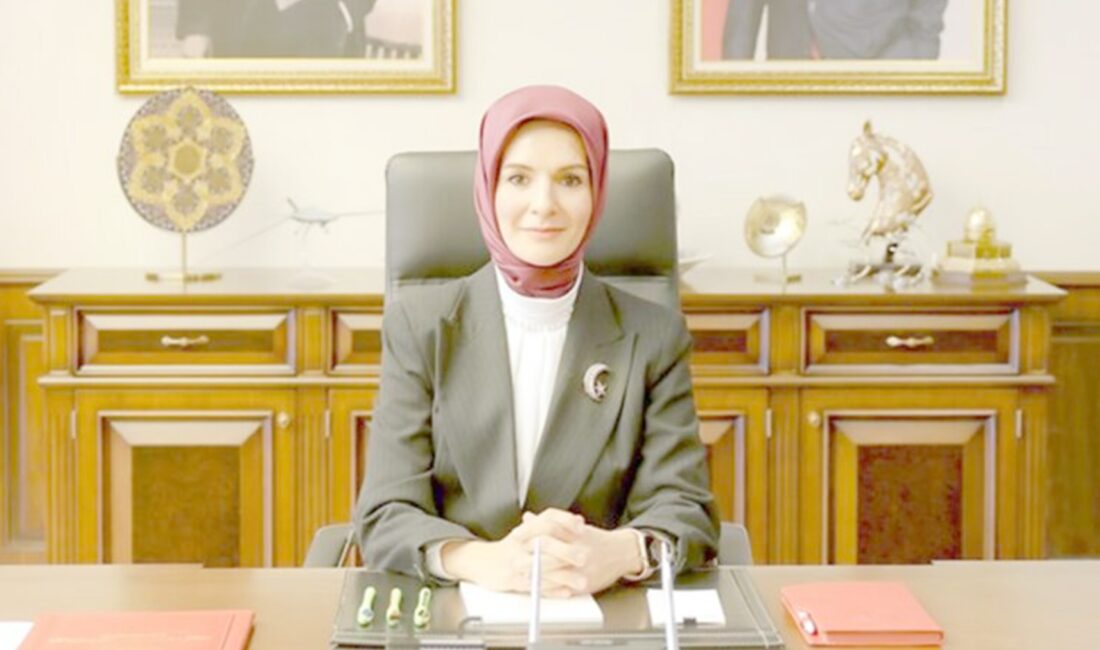 Aile ve Sosyal Hizmetler Bakanı Mahinur Özdemir Göktaş, “Sosyal yardım