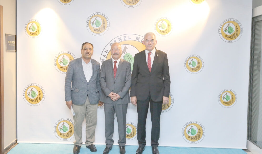 Ayazini’de yıllardır süren tapu sorunu MHP Afyonkarahisar Milletvekili Mehmet Taytak’ın